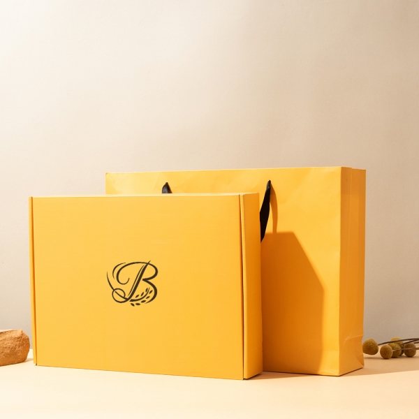 Custom Printed Design Postal Airplane Shipping Mailing Box Corrugated Cardboard Paper Packaging Mailer Box